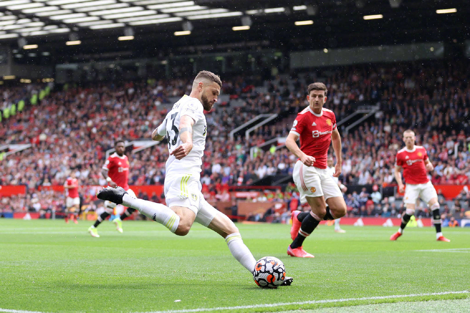 的行为推至 的行为推至