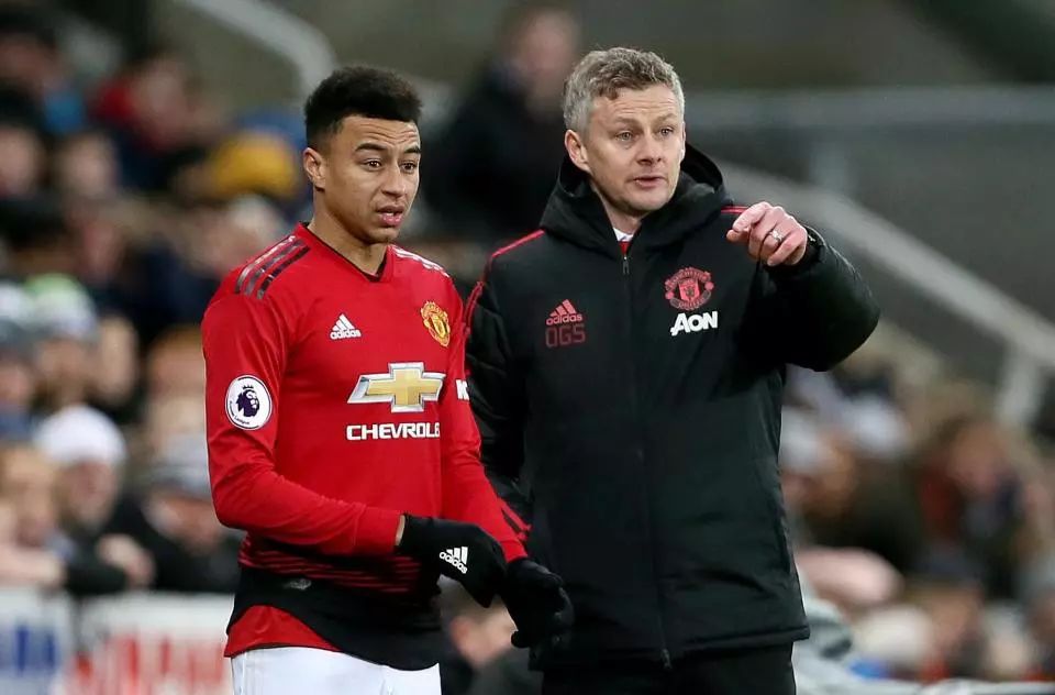 球迷的激情 球迷的激情